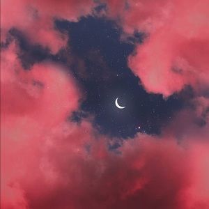 Meet your Posher, Anisa